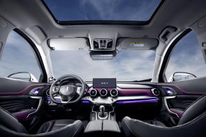 WEY VV7 GT brabus | automotive 2020 года 